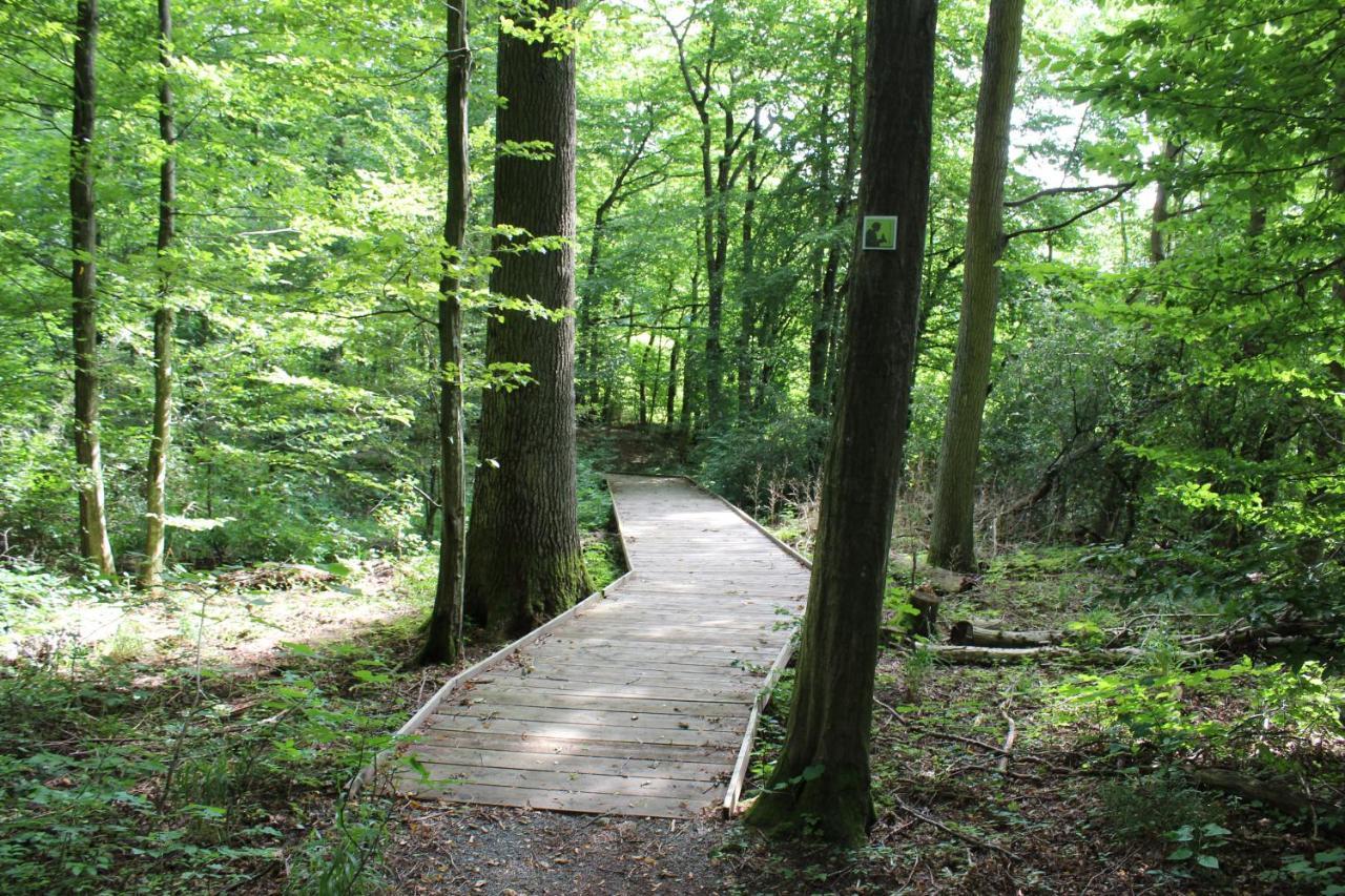 Ferienwohnung Forellenhof Oberschwarzach エクステリア 写真