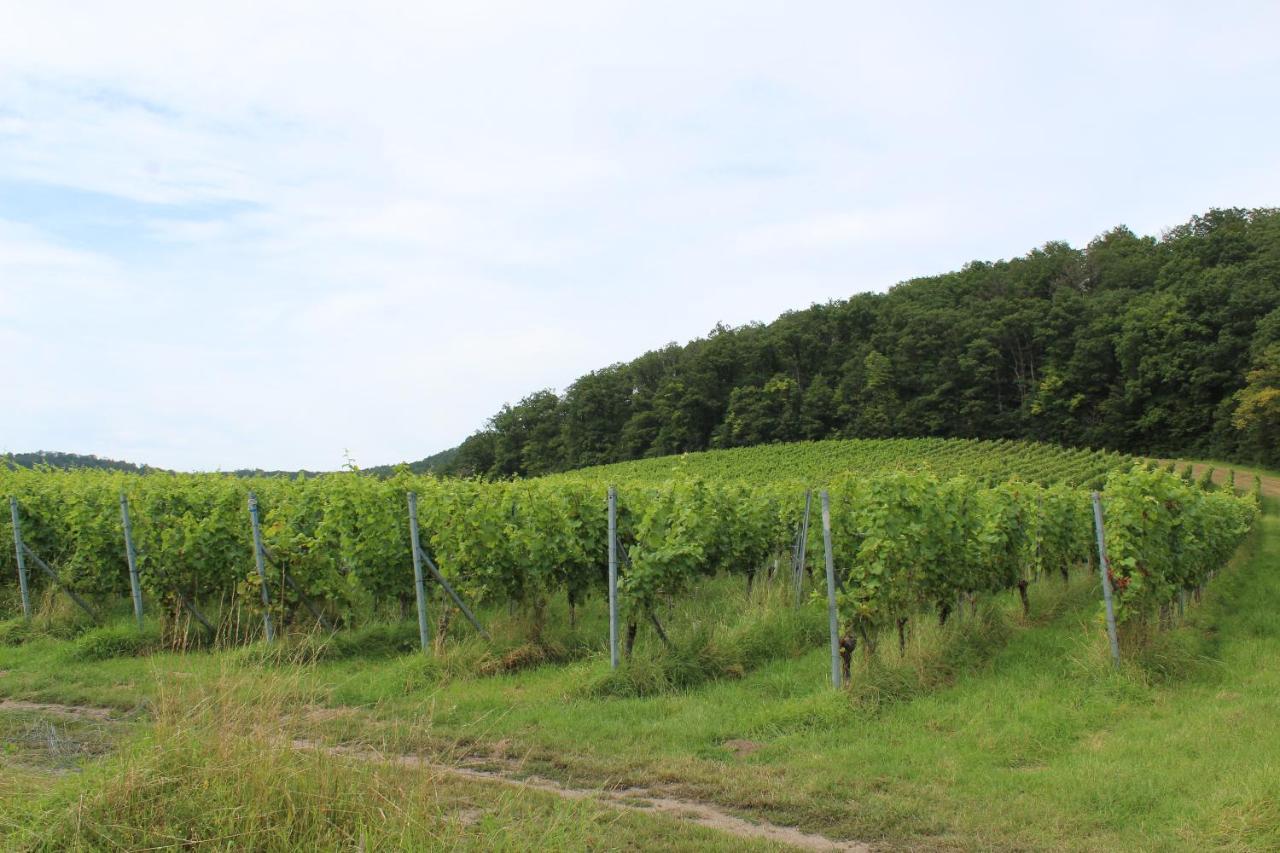 Ferienwohnung Forellenhof Oberschwarzach エクステリア 写真