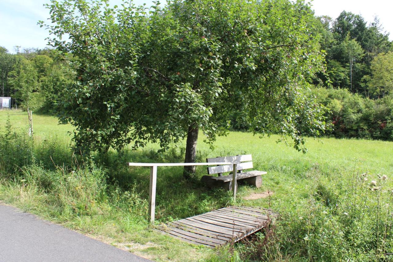Ferienwohnung Forellenhof Oberschwarzach エクステリア 写真