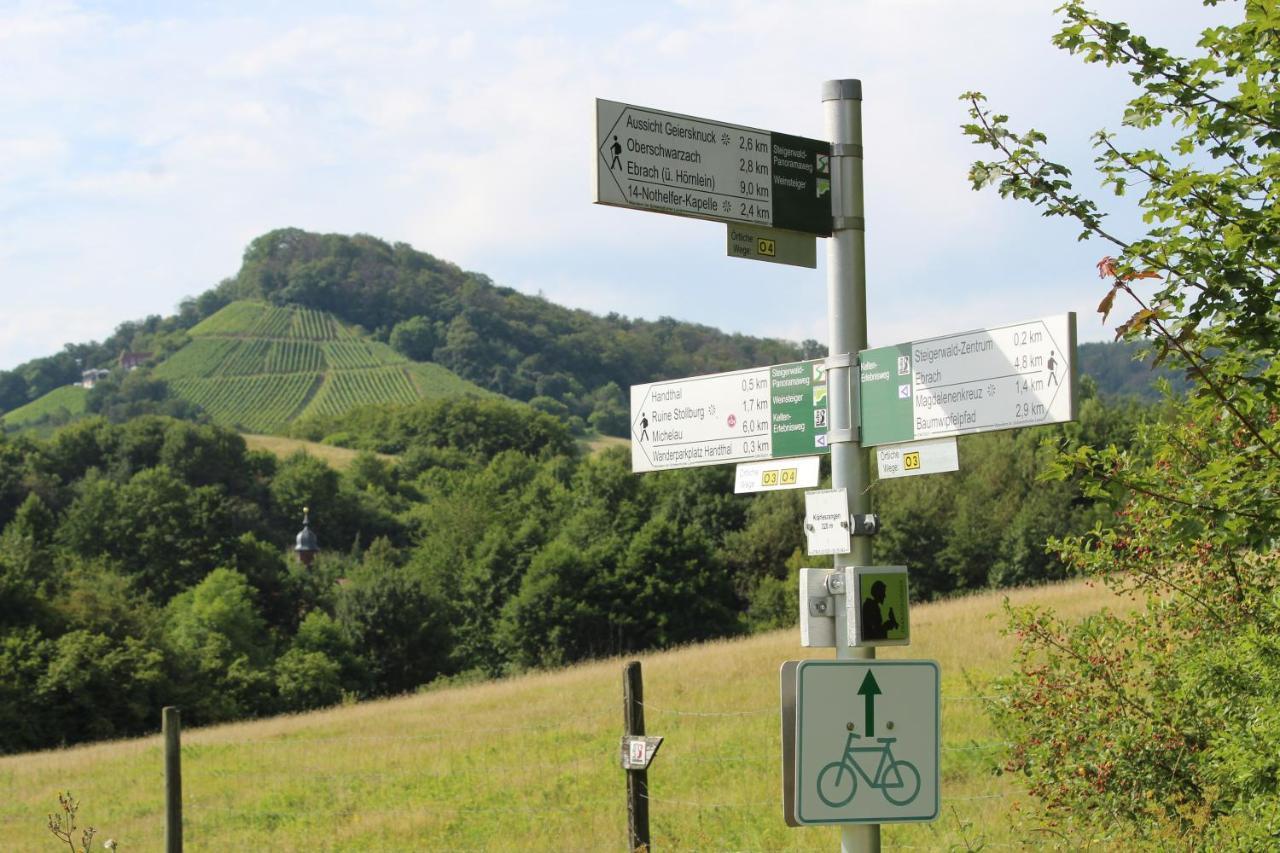 Ferienwohnung Forellenhof Oberschwarzach エクステリア 写真